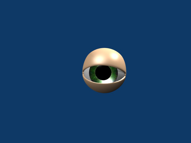 3D: eye with lids